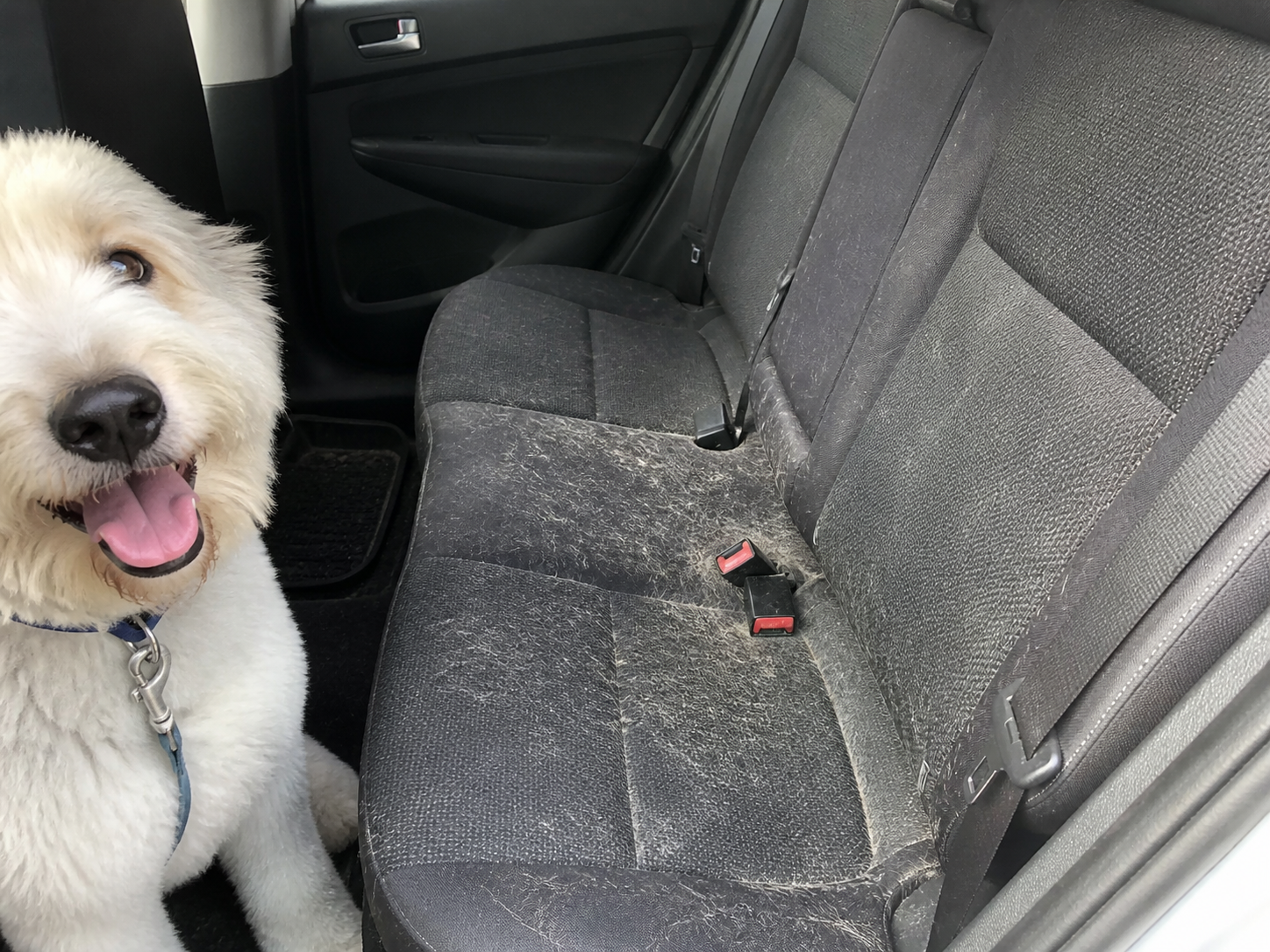 Limpieza de tapicería de tela del coche